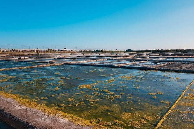 Porto: Private Tour Aveiro & Costa Nova + Cruise and Ovos Moles - Additional Info