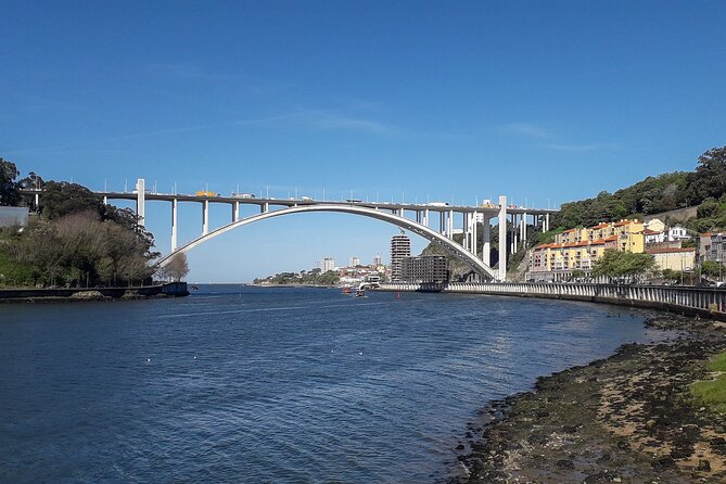 Porto Riverbank E-Bike Tour - Atlantic Coast, Gardens - Reviews and Guide Experience