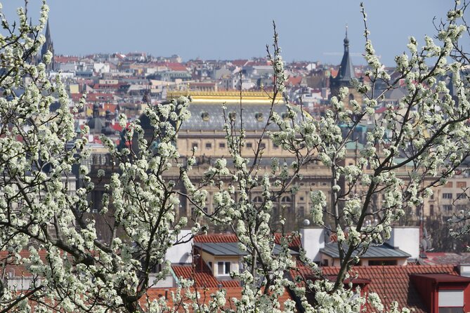 Prague Literary & Historical Tours - Literature Route - Start Point Details