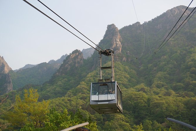 [Premium Private Tour] Mt Seorak & East Sea or Nami Island From Seoul - Reviews