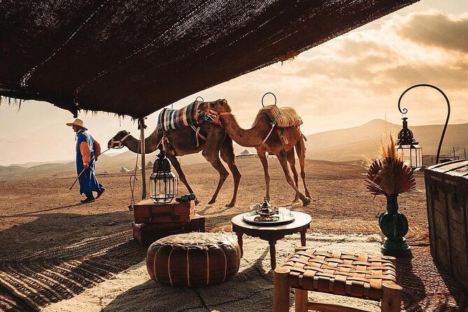 Private 2 Day Tour Casablanca to Marrakech With Night in Desert - Meeting and Pickup Details