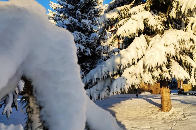 Private 2-Day Trip With Snowshoes - Equipment Provided