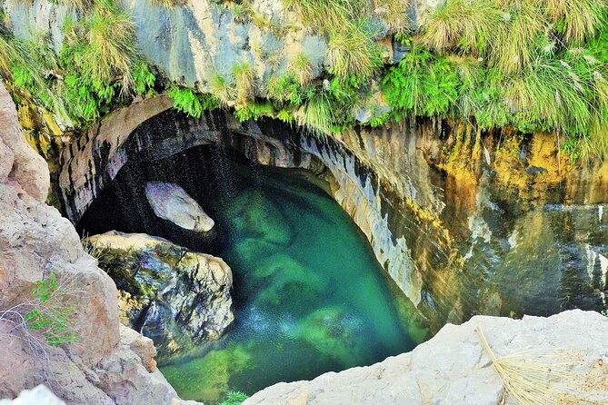 Private 2 Days Arabian Desert With Over Night Tour - Operator Details