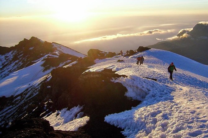Private 7-Day Kilimanjaro Trek via Lemosho Route From Moshi - Meeting and Pickup Details