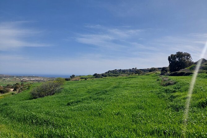 Private Airport Transfers in Malta - Private Tour Details and Operator Information