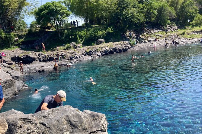 Private and Guided Day Tour of Reunion Island - Pricing and Booking