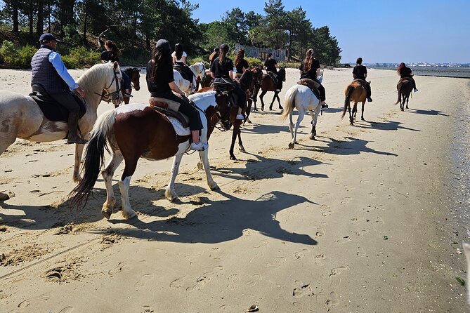 Private Bachelorette Party With Horseback Riding on the Beach - Meeting Point Information