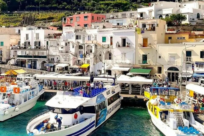 Private Boat Tour From Sorrento to Isle of Capri - Customer Reviews