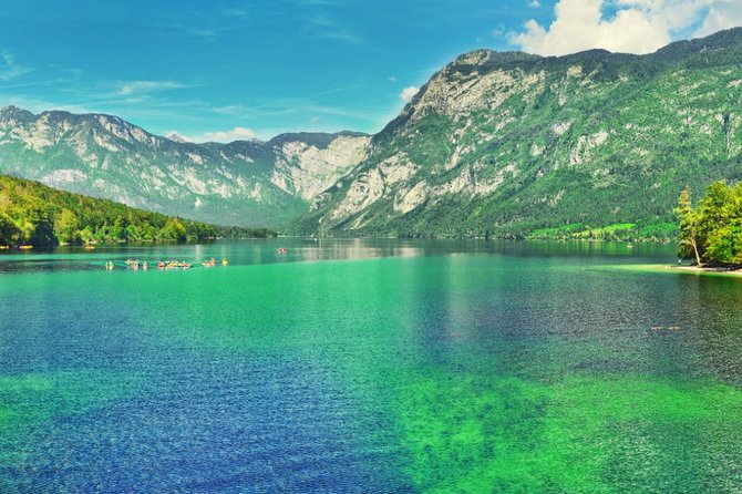 Private Bohinj & Vogel Tour From Bled - Customer Reviews