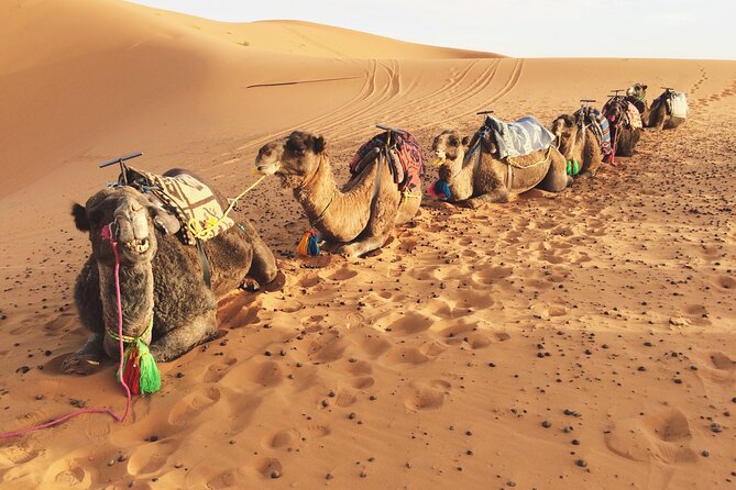 Private Camel Ride Over Erg Chebbi For Sunset Or Sunrise - Directions and Meeting Point