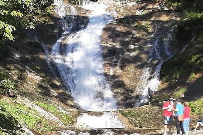 [Private] Cameron Highland Full Day Tour From KL City - Suggestions for Improvement