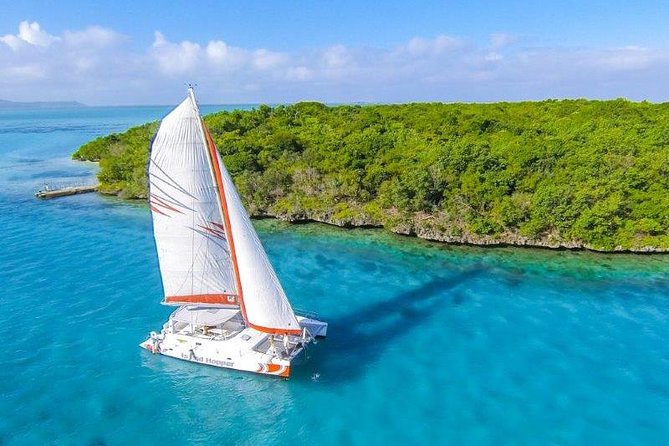 Private Charter Full Day Cruise: Île Aux Cerfs - Tour Highlights