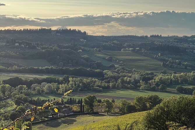 Private Chianti Scooter Tours for Solo Travelers - Cancellation Policy
