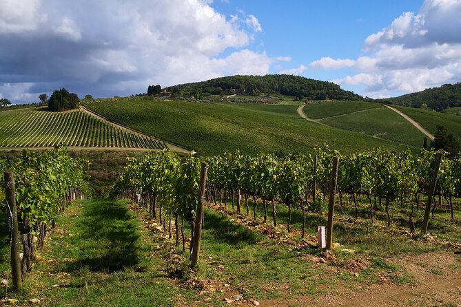 Private Chianti Wine Tours Pickup From the Countryside of Chianti - Inclusions and Pricing