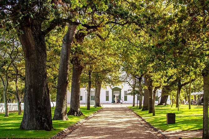 Private Constantia Winelands and Kirstenbosch Luxury Guided Tour - Price and Booking Information