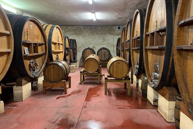 Private Day Excursion in Provence With Transfer - Location: Toulon, France