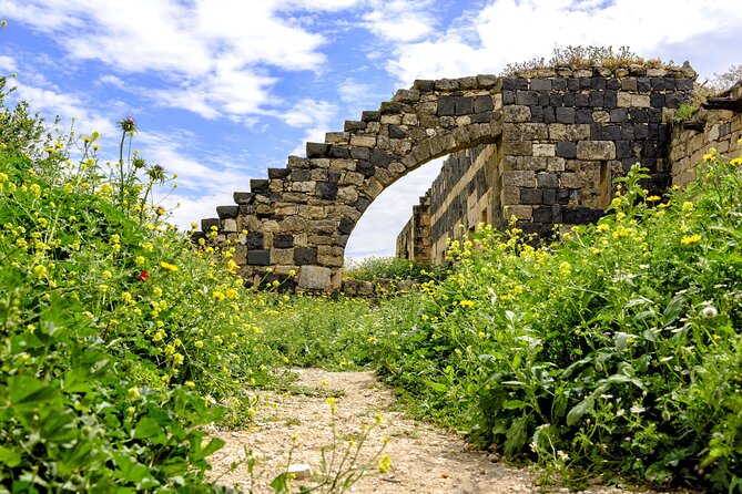 Private Day Tour to Umm Qais From Amman With Optional Hiking Trail - Accessibility and Recommendations