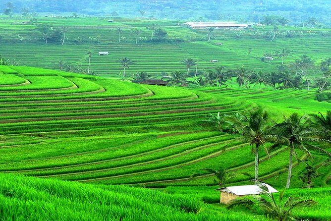 Private Day Trip at Historical Sites in Bali - Special Offer Details