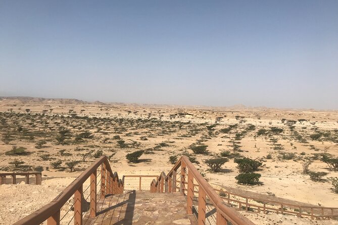 Private Day Trip From Salalah to Rub Al Khali - Itinerary