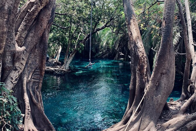 Private Day Trip to Kikuletwa Hot Springs in Kilimanjaro - Booking Process