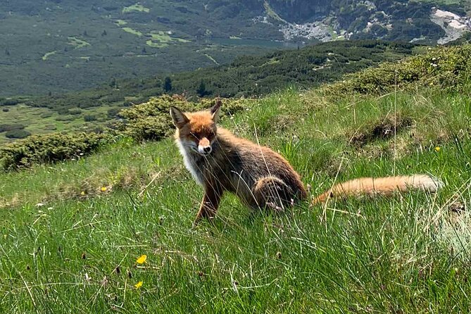 Private Day Trip to the 7 Rila Lakes With Hiking and SPA - Additional Information