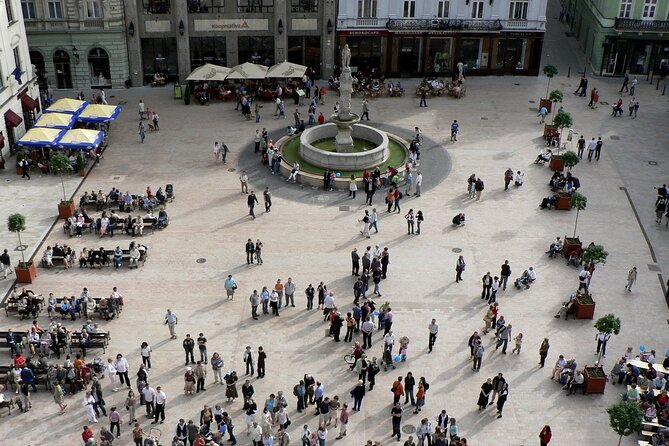 Private Direct Transfer From Vienna City Center to Bratislava - Meeting and Pickup Arrangements