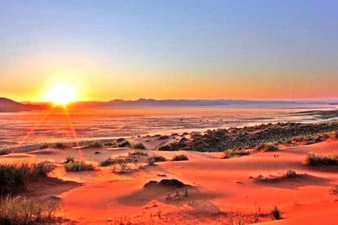 Private Dubai Sunrise With Red Dune Bashing Camel Ride Boarding - Activities