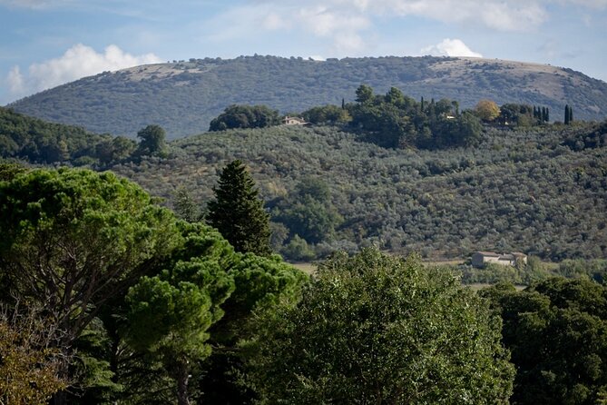 Private E Bike Tour in the Olivata Area Assisi Spello Foligno - Frequently Asked Questions