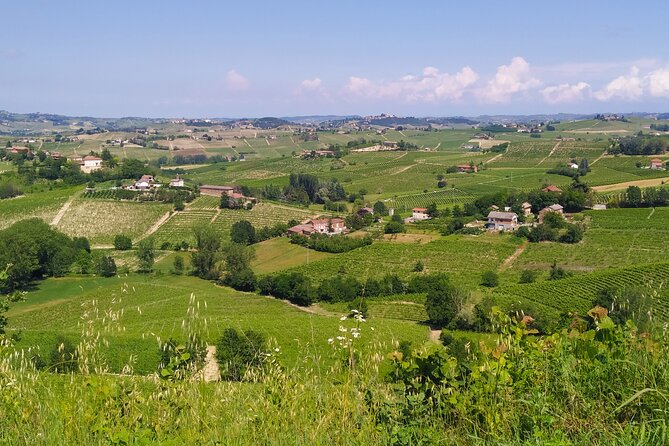 Private E-Bike Tour Monferrato Di Canelli - Asphalt Only - Price and Booking