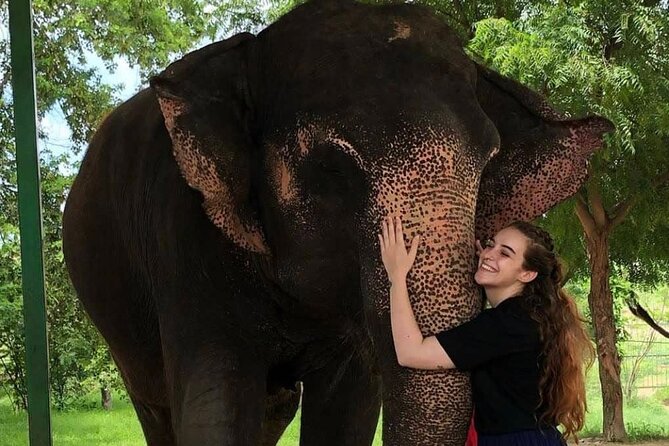 Private Elephant Sanctuary - Experience and Additional Info