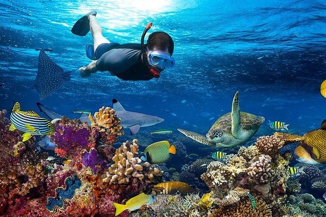 Private Full-Day Dhow Cruise to Mnemba Island Reef for Snorkeling - Pickup Details
