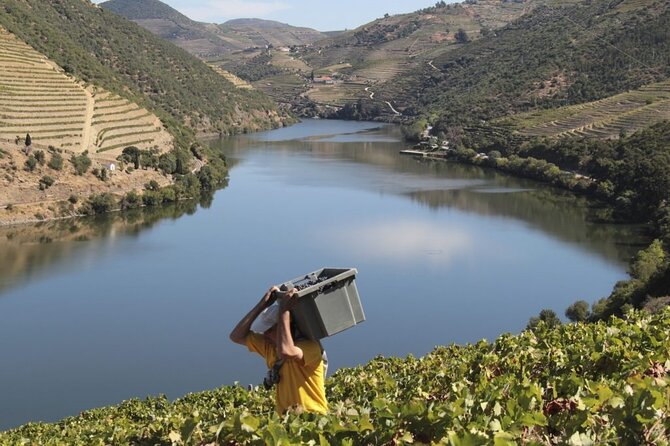 Private Full Day Douro Tour With Lunch - Frequently Asked Questions