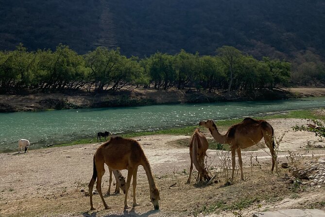 Private Full-Day East Oman Tour From Salalah With Lunch - Cancellation Policy