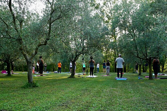 Private Full Day Tour and Yoga of the Prosecco Hills - Cancellation Policy