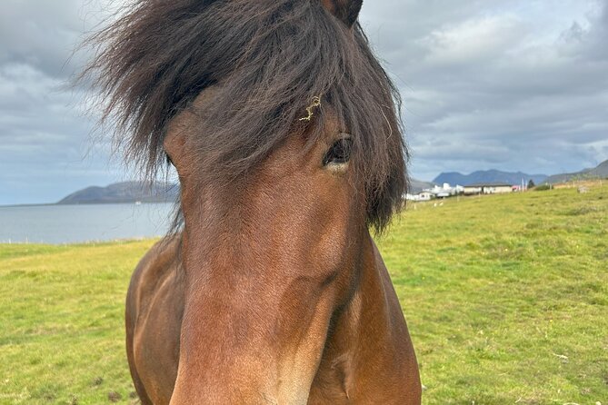 Private Full Day Tour in Snaefellsnes Iceland - Pricing