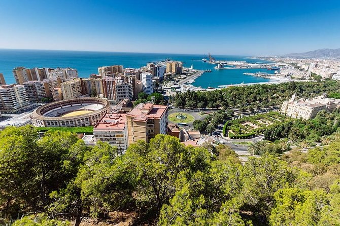 Private Full-Day Tour to Malaga From Seville With Hotel Pick up & Drop off - Transportation Details
