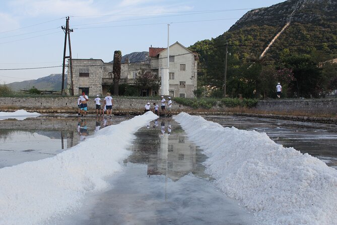 Private Guided Tour Tasting of Dubrovnik - Reservation Process