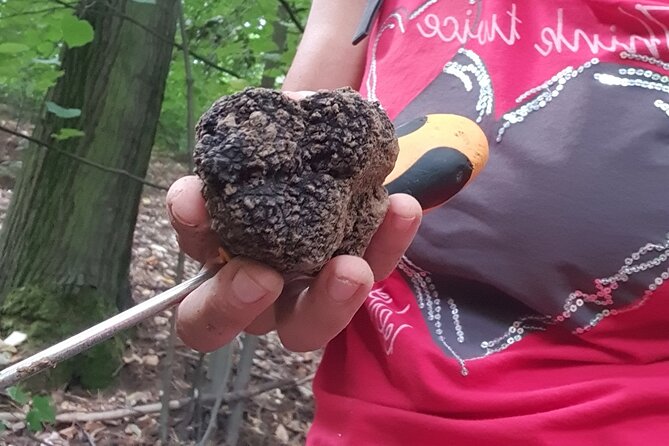 Private Guided Truffle Hunting Tour in Serbia With Brunch - Pricing Details