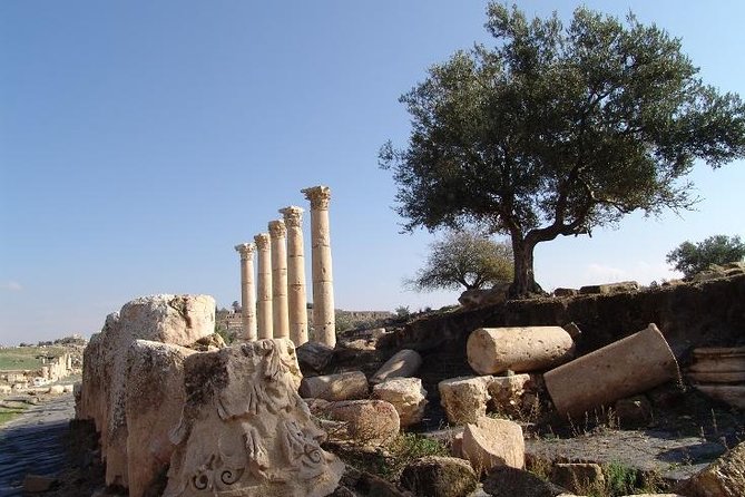 Private Guided Umm Quais and Jerash Tour With Lunch