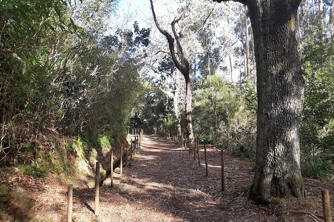 Private Guided Walk Levada Caminho Para Todos Half-Day - Good To Know