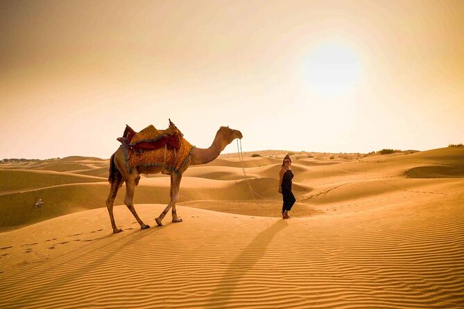 Private Half Day Desert Safari With Camel Riding and Dunes - Price Details