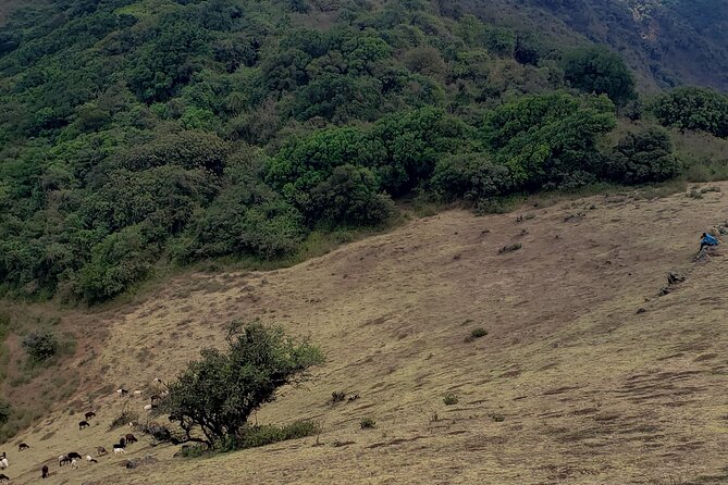 Private Half Day Hike to Ngong Hills From Nairobi - Final Thoughts