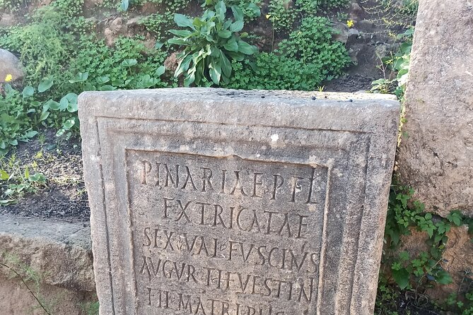 Private Half-Day Tipaza Tour Roman Ruins - Pricing and Terms