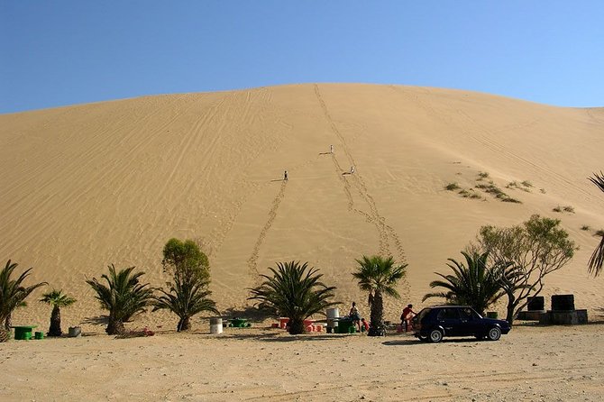 Private Highlights of Walvis Bay Tour - Customer Reviews
