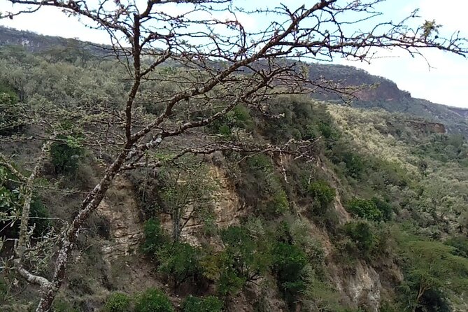 Private Hiking Day Trip to Mt. Longonot From Nairobi - Fitness Level Requirements