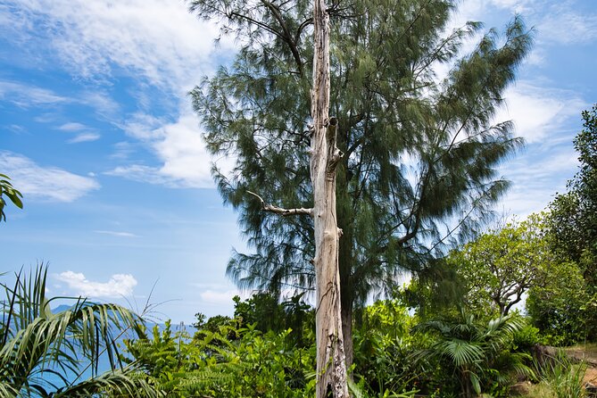 Private Hiking, Nature Trail 8 to 10 Persons - Important Considerations