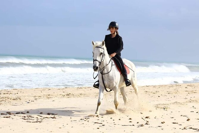 Private Horseback Ride at Sunset in Hammamet - Customer Experience