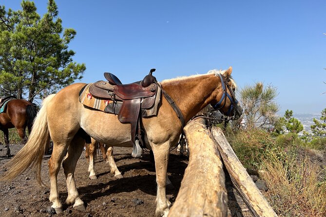Private Horseback Riding Experience on Vesuvius and Product Tasting - The Sum Up