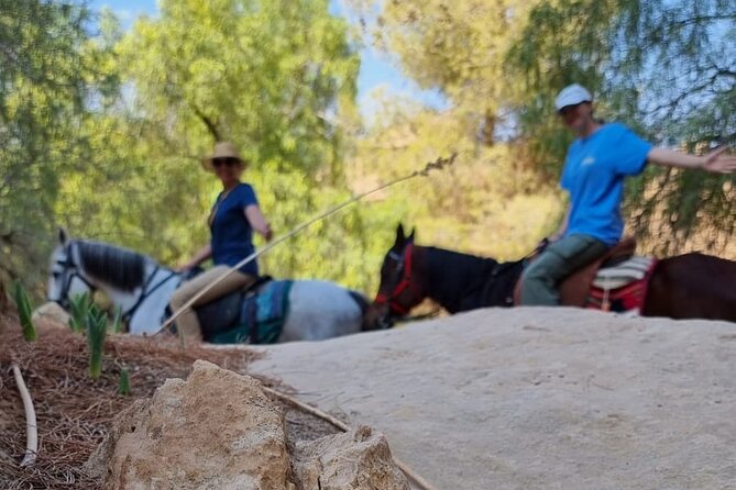Private Indiana-Jones Archeological Trail Tour - Additional Info
