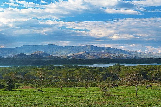 Private Layover Tour to Hells Gate National Park With Optional Boat Ride - The Sum Up